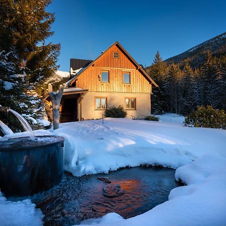 Pension Erban Špindlerŭv Mlýn Exterior foto